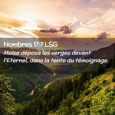 Picture 02 - Nombres 17:7 LSG - Moïse déposa les verges devant l'Eternel, dans - Bible Verse Picture