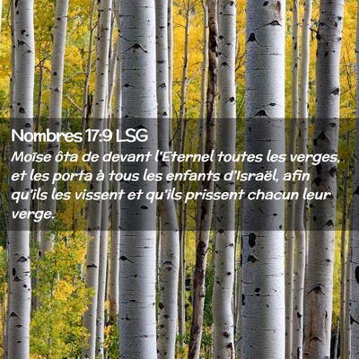 Picture 02 - Nombres 17:9 LSG - Moïse ôta de devant l'Eternel toutes les - Bible Verse Picture