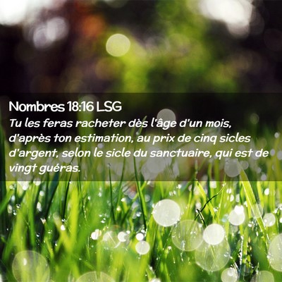 Picture 02 - Nombres 18:16 LSG - Tu les feras racheter dès l'âge d'un mois, - Bible Verse Picture