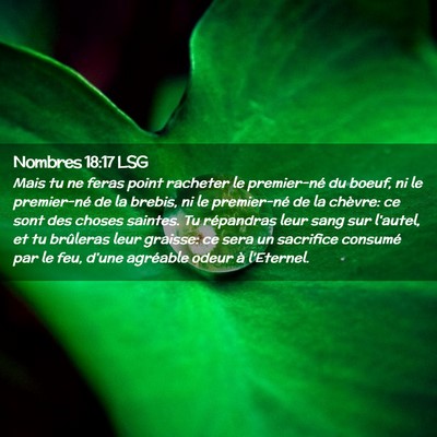 Picture 02 - Nombres 18:17 LSG - Mais tu ne feras point racheter le premier-né du - Bible Verse Picture