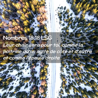 Picture 02 - Nombres 18:18 LSG - Leur chair sera pour toi, comme la poitrine qu'on - Bible Verse Picture