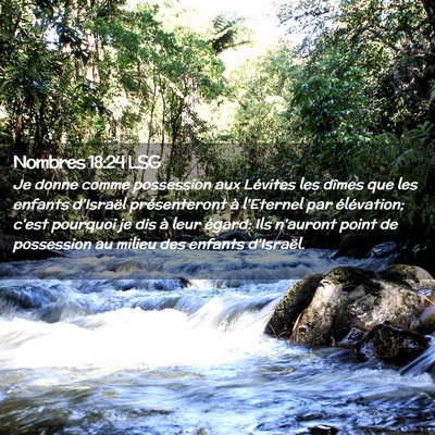 Picture 02 - Nombres 18:24 LSG - Je donne comme possession aux Lévites les dîmes - Bible Verse Picture