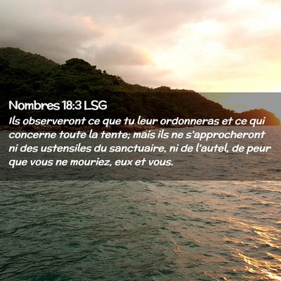 Picture 02 - Nombres 18:3 LSG - Ils observeront ce que tu leur ordonneras et ce - Bible Verse Picture