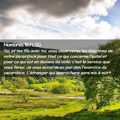 Picture 02 - Nombres 18:7 LSG - Toi, et tes fils avec toi, vous observerez les - Bible Verse Picture