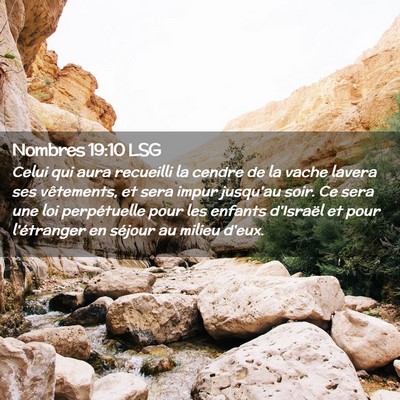 Picture 02 - Nombres 19:10 LSG - Celui qui aura recueilli la cendre de la vache - Bible Verse Picture