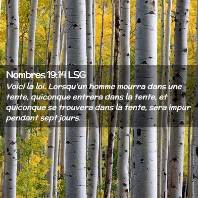 Picture 02 - Nombres 19:14 LSG - Voici la loi. Lorsqu'un homme mourra dans une - Bible Verse Picture