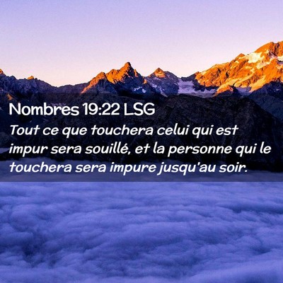 Picture 02 - Nombres 19:22 LSG - Tout ce que touchera celui qui est impur sera - Bible Verse Picture