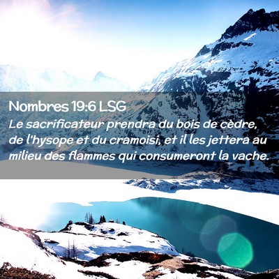 Picture 02 - Nombres 19:6 LSG - Le sacrificateur prendra du bois de cèdre, de - Bible Verse Picture