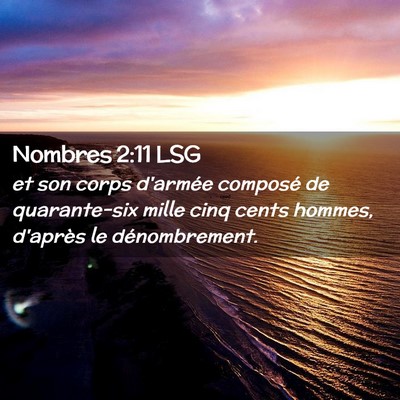 Picture 02 - Nombres 2:11 LSG - et son corps d'armée composé de quarante-six - Bible Verse Picture