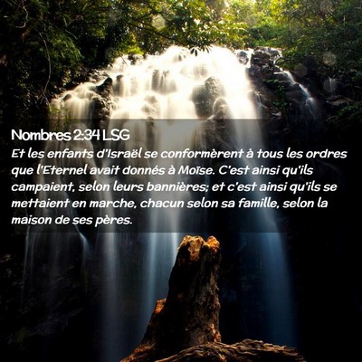 Picture 02 - Nombres 2:34 LSG - Et les enfants d'Israël se conformèrent à tous - Bible Verse Picture