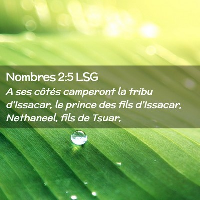 Picture 02 - Nombres 2:5 LSG - A ses côtés camperont la tribu d'Issacar, le - Bible Verse Picture