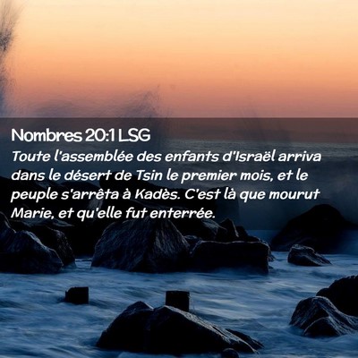 Picture 02 - Nombres 20:1 LSG - Toute l'assemblée des enfants d'Israël arriva - Bible Verse Picture