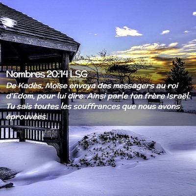 Picture 02 - Nombres 20:14 LSG - De Kadès, Moïse envoya des messagers au roi - Bible Verse Picture
