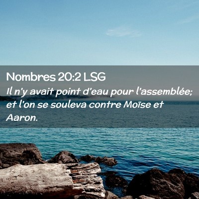 Picture 02 - Nombres 20:2 LSG - Il n'y avait point d'eau pour l'assemblée; et - Bible Verse Picture