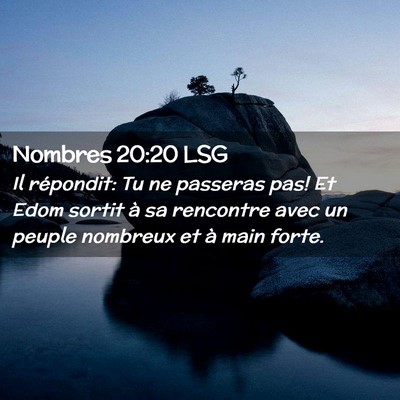 Picture 02 - Nombres 20:20 LSG - Il répondit: Tu ne passeras pas! Et Edom sortit - Bible Verse Picture