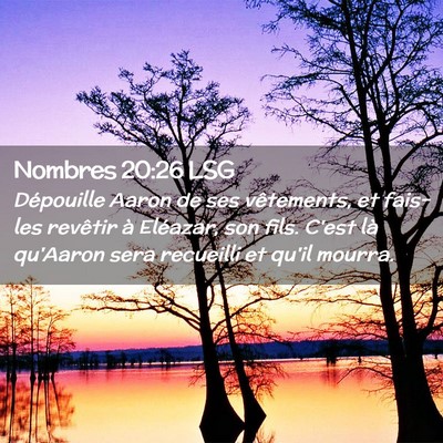 Picture 02 - Nombres 20:26 LSG - Dépouille Aaron de ses vêtements, et fais-les - Bible Verse Picture
