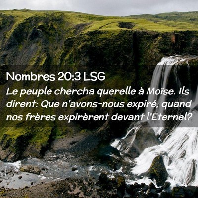 Picture 02 - Nombres 20:3 LSG - Le peuple chercha querelle à Moïse. Ils dirent: - Bible Verse Picture