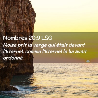 Picture 02 - Nombres 20:9 LSG - Moïse prit la verge qui était devant l'Eternel, - Bible Verse Picture
