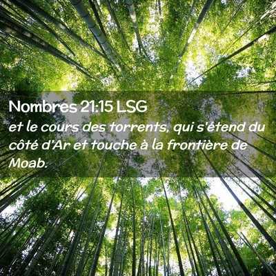 Picture 02 - Nombres 21:15 LSG - et le cours des torrents, qui s'étend du côté - Bible Verse Picture