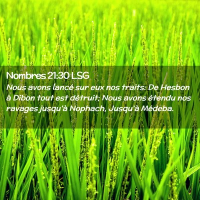Picture 02 - Nombres 21:30 LSG - Nous avons lancé sur eux nos traits: De Hesbon - Bible Verse Picture