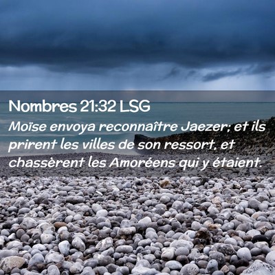 Picture 02 - Nombres 21:32 LSG - Moïse envoya reconnaître Jaezer; et ils prirent - Bible Verse Picture