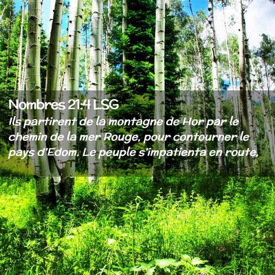 Picture 02 - Nombres 21:4 LSG - Ils partirent de la montagne de Hor par le chemin - Bible Verse Picture