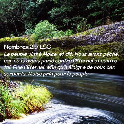 Picture 02 - Nombres 21:7 LSG - Le peuple vint à Moïse, et dit: Nous avons - Bible Verse Picture