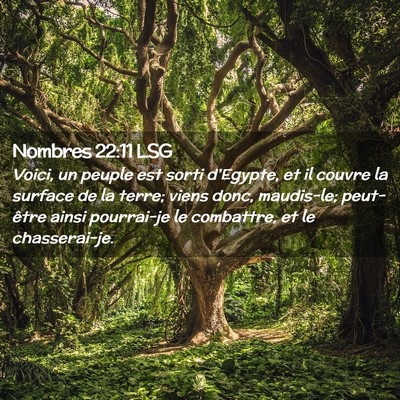 Picture 02 - Nombres 22:11 LSG - Voici, un peuple est sorti d'Egypte, et il couvre - Bible Verse Picture