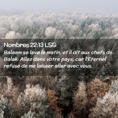 Picture 02 - Nombres 22:13 LSG - Balaam se leva le matin, et il dit aux chefs de - Bible Verse Picture
