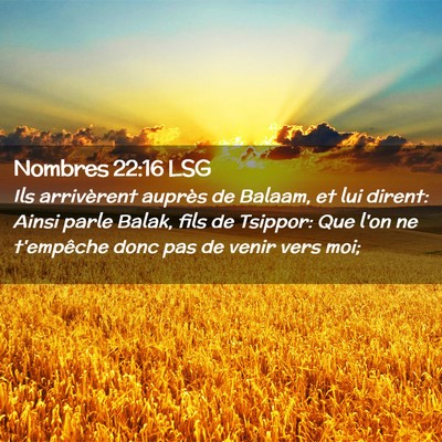 Picture 02 - Nombres 22:16 LSG - Ils arrivèrent auprès de Balaam, et lui dirent: - Bible Verse Picture