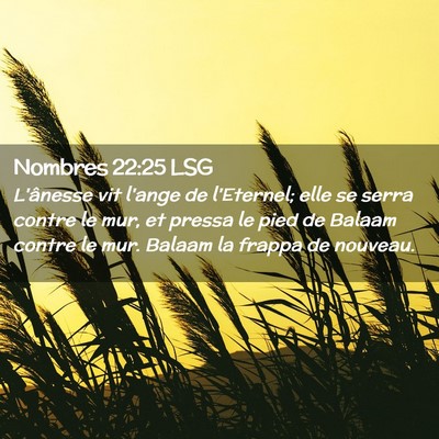 Picture 02 - Nombres 22:25 LSG - L'ânesse vit l'ange de l'Eternel; elle se serra - Bible Verse Picture