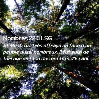 Picture 02 - Nombres 22:3 LSG - Et Moab fut très effrayé en face d'un peuple - Bible Verse Picture
