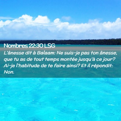 Picture 02 - Nombres 22:30 LSG - L'ânesse dit à Balaam: Ne suis-je pas ton - Bible Verse Picture