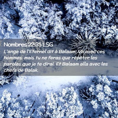 Picture 02 - Nombres 22:35 LSG - L'ange de l'Eternel dit à Balaam: Va avec ces - Bible Verse Picture