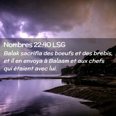 Picture 02 - Nombres 22:40 LSG - Balak sacrifia des boeufs et des brebis, et il en - Bible Verse Picture
