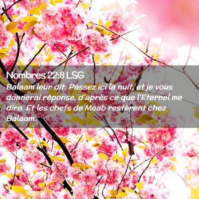 Picture 02 - Nombres 22:8 LSG - Balaam leur dit: Passez ici la nuit, et je vous - Bible Verse Picture