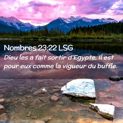 Picture 02 - Nombres 23:22 LSG - Dieu les a fait sortir d'Egypte, Il est pour eux - Bible Verse Picture