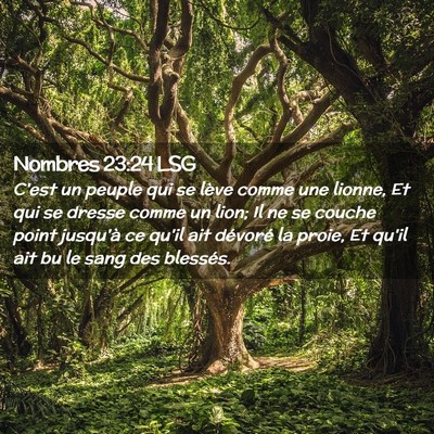 Picture 02 - Nombres 23:24 LSG - C'est un peuple qui se lève comme une lionne, Et - Bible Verse Picture