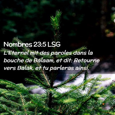 Picture 02 - Nombres 23:5 LSG - L'Eternel mit des paroles dans la bouche de - Bible Verse Picture
