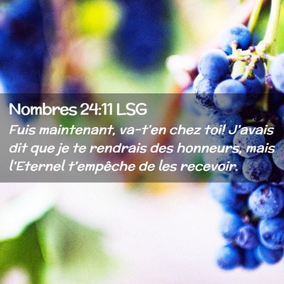 Picture 02 - Nombres 24:11 LSG - Fuis maintenant, va-t'en chez toi! J'avais dit - Bible Verse Picture