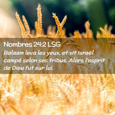 Picture 02 - Nombres 24:2 LSG - Balaam leva les yeux, et vit Israël campé selon - Bible Verse Picture
