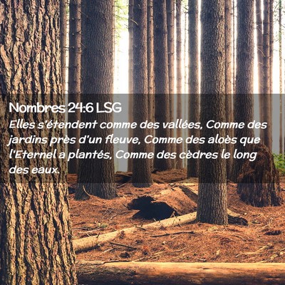 Picture 02 - Nombres 24:6 LSG - Elles s'étendent comme des vallées, Comme des - Bible Verse Picture