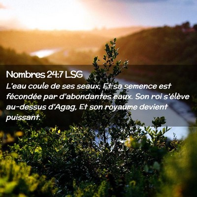 Picture 02 - Nombres 24:7 LSG - L'eau coule de ses seaux, Et sa semence est - Bible Verse Picture