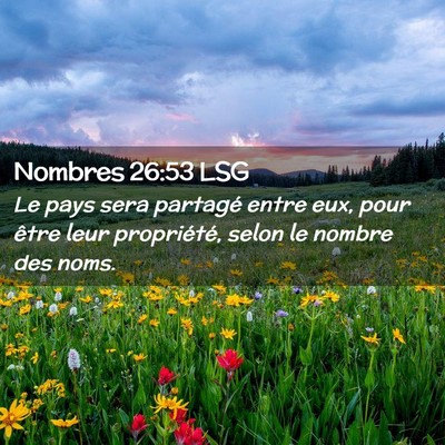 Picture 02 - Nombres 26:53 LSG - Le pays sera partagé entre eux, pour être leur - Bible Verse Picture