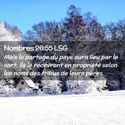 Picture 02 - Nombres 26:55 LSG - Mais le partage du pays aura lieu par le sort; - Bible Verse Picture