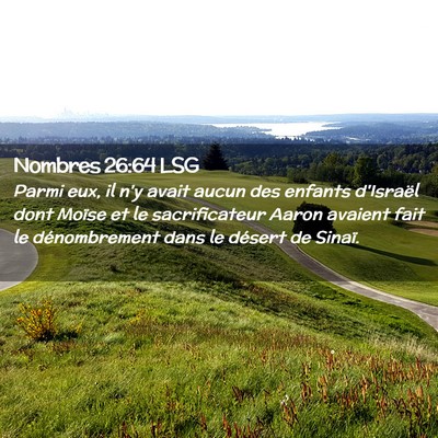 Picture 02 - Nombres 26:64 LSG - Parmi eux, il n'y avait aucun des enfants - Bible Verse Picture
