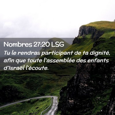 Picture 02 - Nombres 27:20 LSG - Tu le rendras participant de ta dignité, afin - Bible Verse Picture