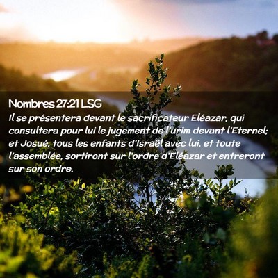 Picture 02 - Nombres 27:21 LSG - Il se présentera devant le sacrificateur - Bible Verse Picture