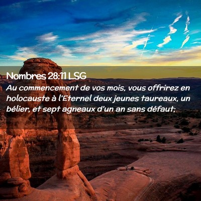 Picture 02 - Nombres 28:11 LSG - Au commencement de vos mois, vous offrirez en - Bible Verse Picture