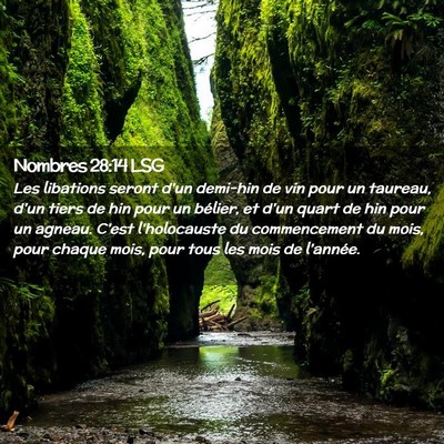 Picture 02 - Nombres 28:14 LSG - Les libations seront d'un demi-hin de vin pour un - Bible Verse Picture